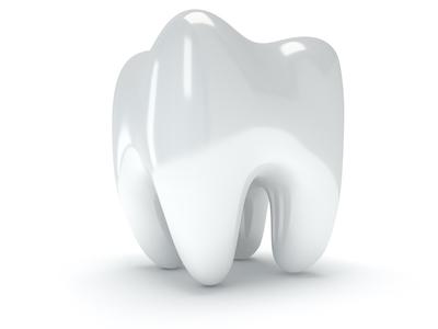 A tooth model in Royal Oak, MI